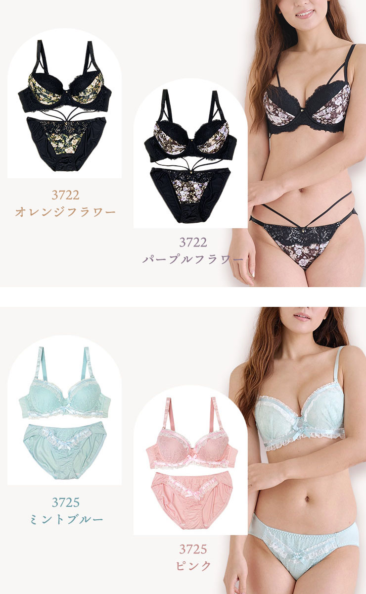 ブラジャーショーツセット （Fカップ アンダー80/85/90/95/100） (j3-f)