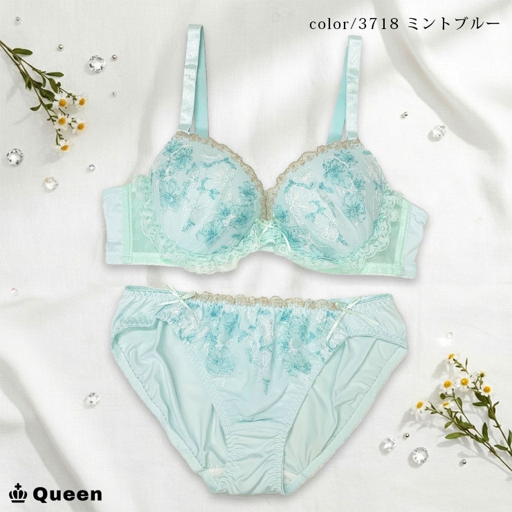 ブラジャーショーツセット (Gカップ アンダー75/80/85/90/95/100) (j3-g)