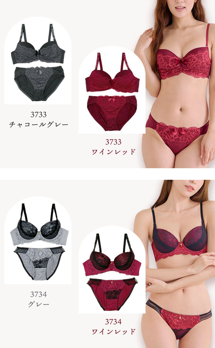 ブラジャーショーツセット (Gカップ アンダー75/80/85/90/95/100) (j3-g)