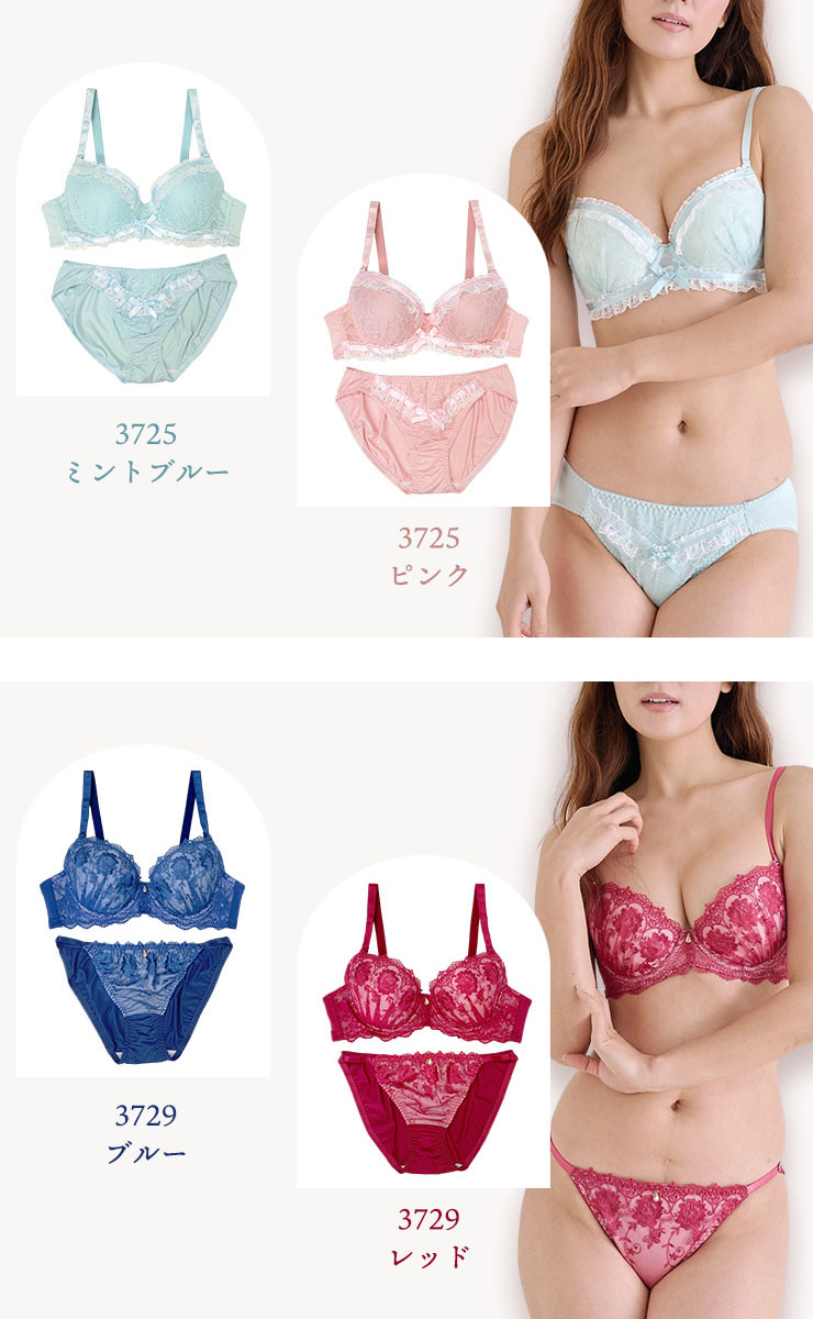 ブラジャーショーツセット （Hカップ アンダー70/75/80/85/90/95/100） (j3-h)