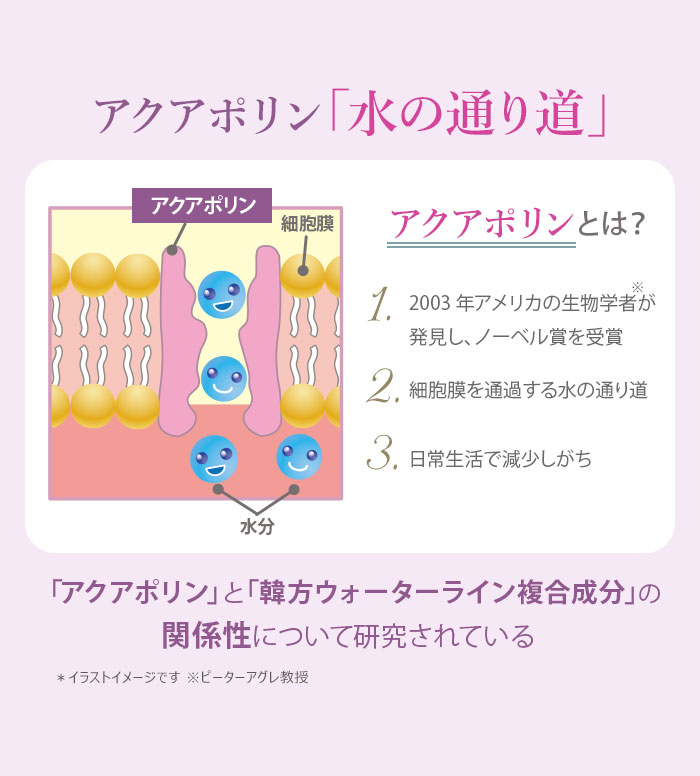 ��������� �ץ�ߥ��� �����ѡ� STEM CMC �����ס� ��Ĥᤫ���� 450ml��