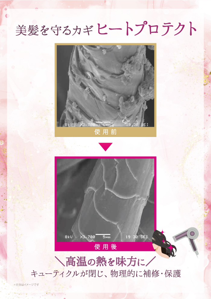 ��������� �ץ�ߥ��� �����ѡ� STEM CMC �����ס� ��Ĥᤫ���� 450ml��