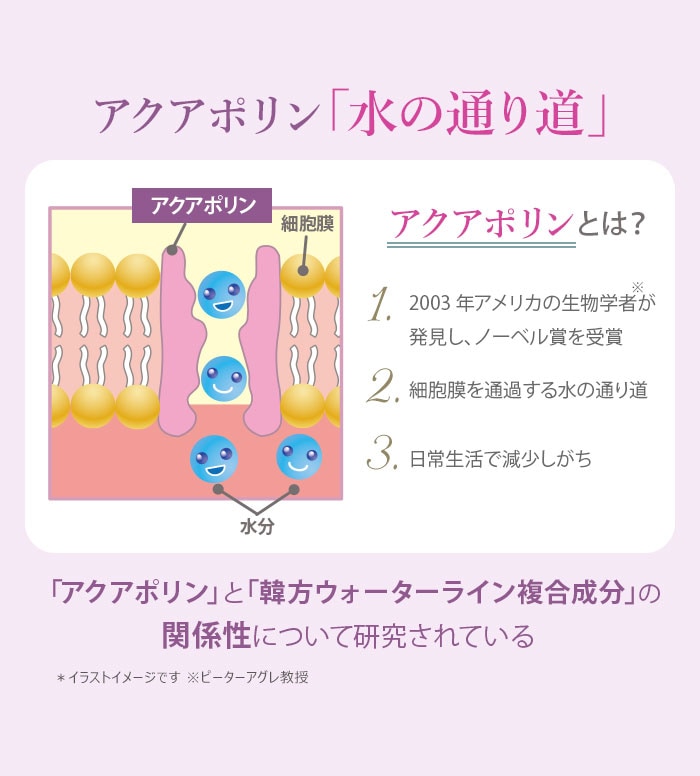  ץߥ ѡ STEM CMC ȥ꡼ȥ Ĥᤫ 450ml