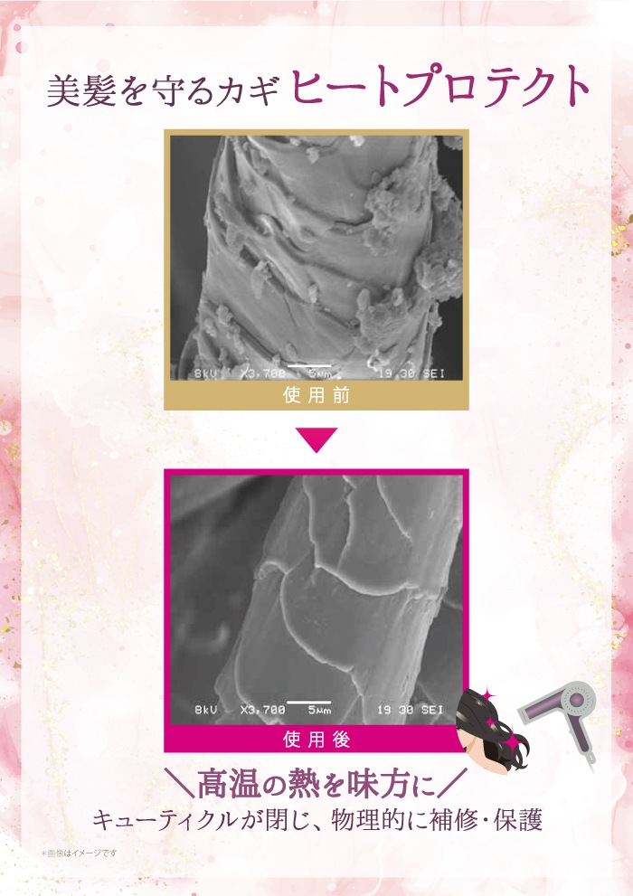  ץߥ ѡ STEM CMC ȥ꡼ȥ Ĥᤫ 450ml