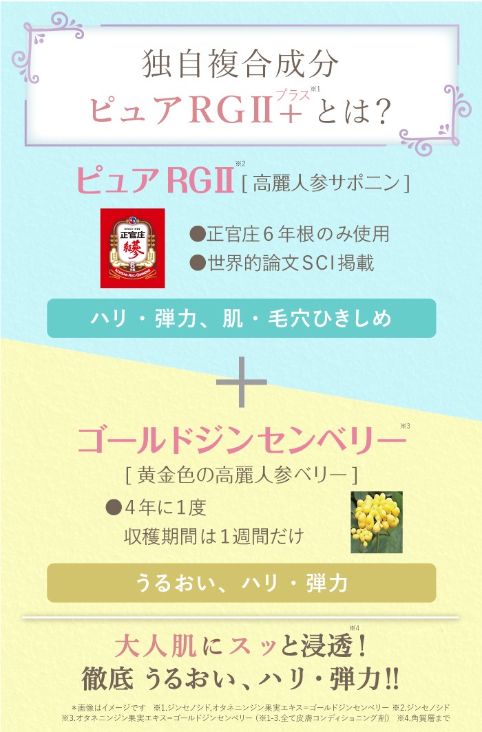 �����ץ꡼�� RG2+ ����ʡ���ե� ��󥯥르����� �١��� Rich ���ƥ��å� �㥹�ƥ��å������꡼���
