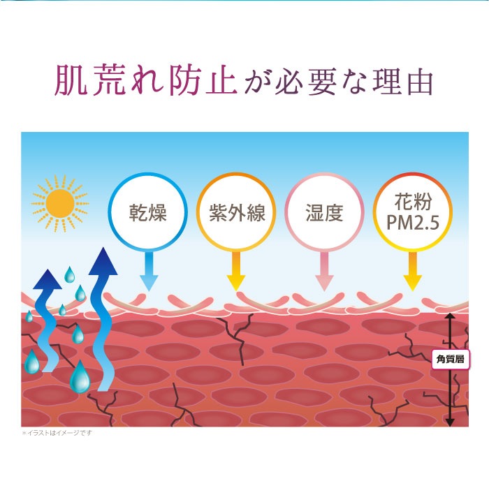 ��������� �ץ�ߥ��� �ե������ȥ��饹 ���Ʊղ��ѿ� ��å� 130ml