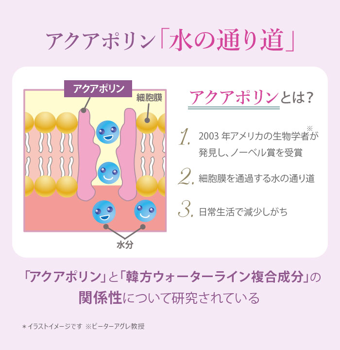 ��������� �ץ�ߥ��� �ե������ȥ��饹 ���Ʊղ��ѿ� ��å� 130ml