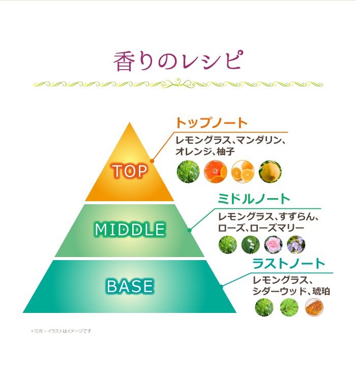 ��������� �ץ�ߥ��� �إ����ܥǥ��ȥ꡼�ȥ��� ������ �ե쥰��󥹥ߥ��� ��إ��ߥ��ȡ��ܥǥ��Ѳ��ѿ��