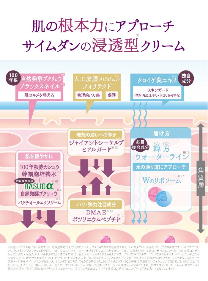 ��������� �ץ�ߥ��� �ե������ȥ��饹 �ѡ��ե����� Rich ���꡼������ƥ��꡼���