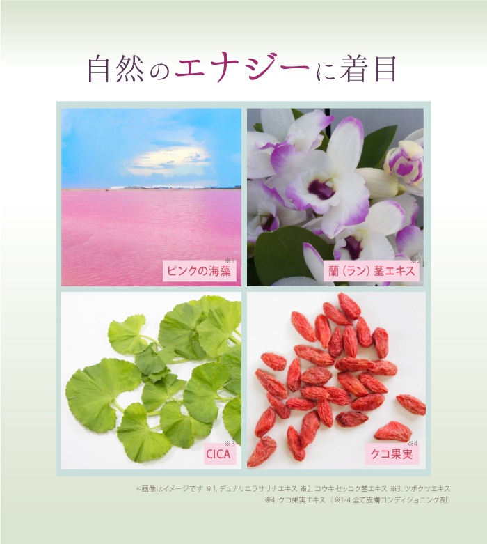 ��������� �ץ�ߥ��� �ե������ȥ��饹 �ѡ��ե����� Rich ���꡼������ƥ��꡼���