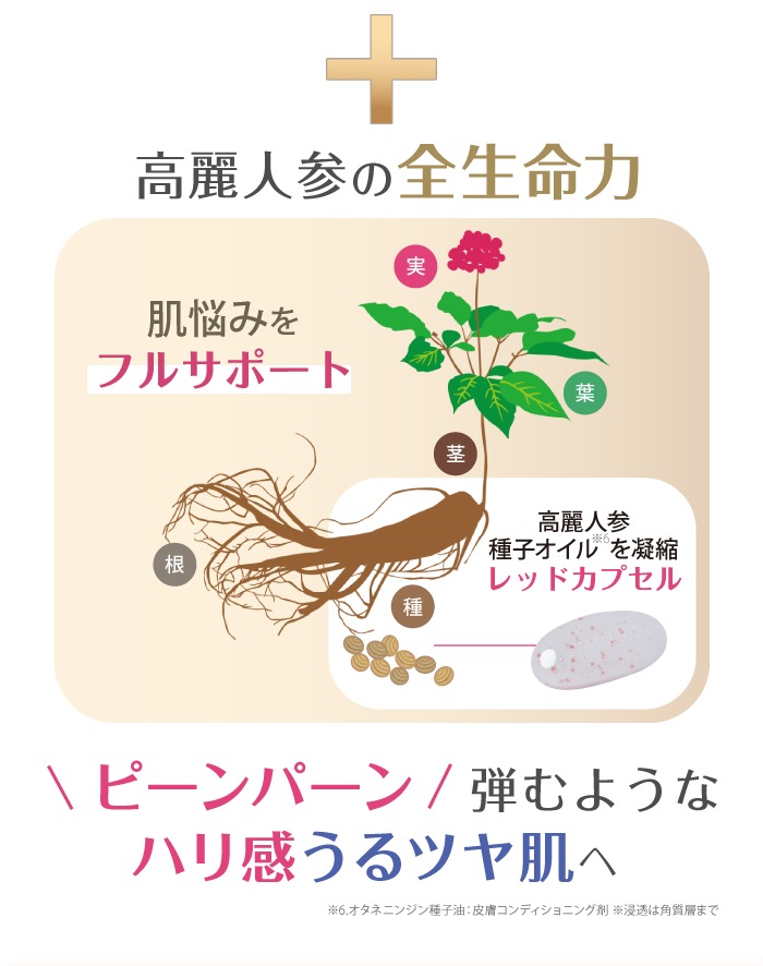 �����ץ꡼�� RGII ����ʡ���ե� W ���󥻥� �֥饤��UP �ץ���� ����� �����Ʊա�