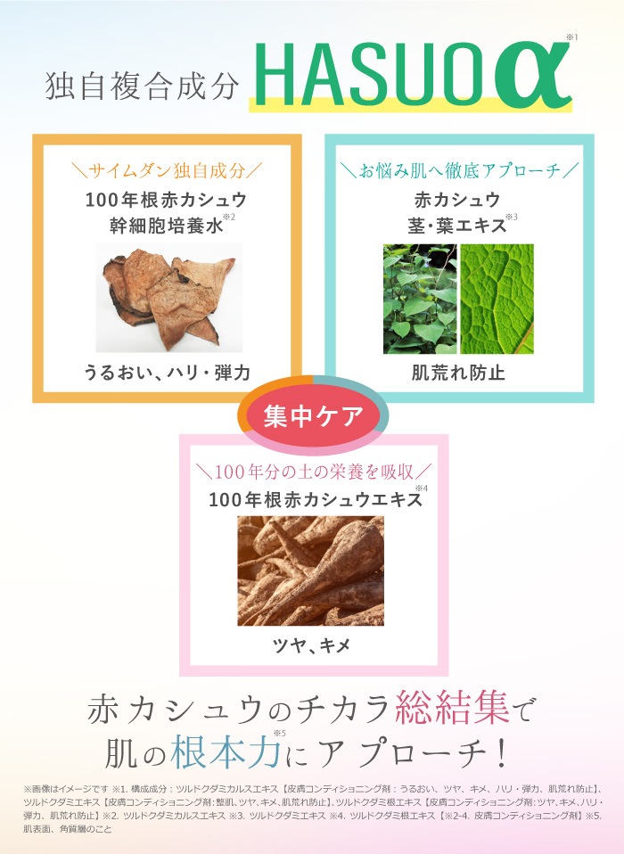 ��������� �ץ�ߥ��� �����ȥ쥹 �����ѡ� ��եƥ��� �ե���ǡ������ ���ե���ñ�ʡ�