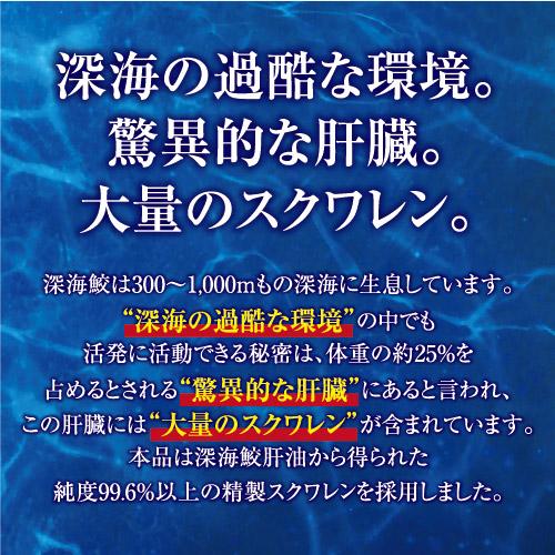 ���θ��� ���������������ץ��� ������ 90��ʬ