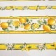 フランス製 コットン撥水テーブルクロス☆シトロン/ホワイト150x120cmサイズ F155120-CITR-WT