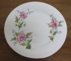 ������ɥΥ꥿�����ǥ��ʡ��ץ졼�ȡ��ݥԡ�����