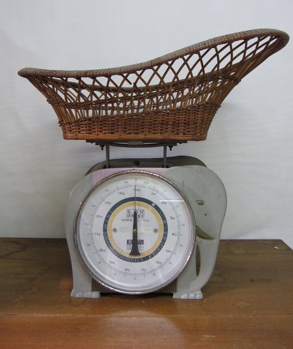 ���Ļ��ѥ����դ��Ϥ��ꡡ��������(�������)