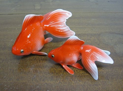 �Υ꥿����������羮���å�