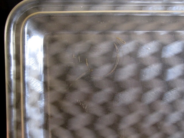 ��������ɤθŤ��ȥ쥤�������