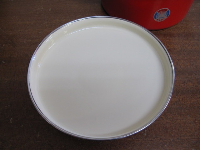 RP009���ۥ����������顼�ۡ�������ξ���顡20cm