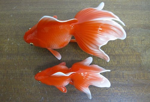 �Υ꥿����������羮���å�