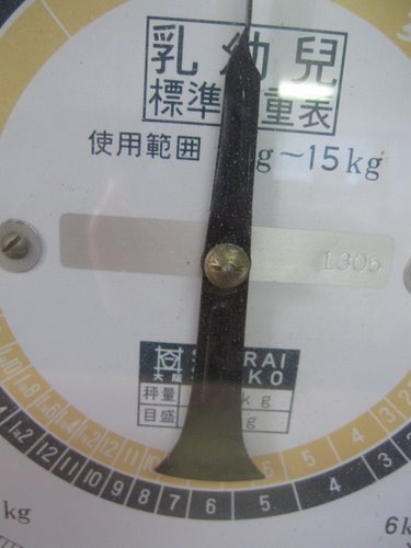 ���Ļ��ѥ����դ��Ϥ��ꡡ��������(�������)