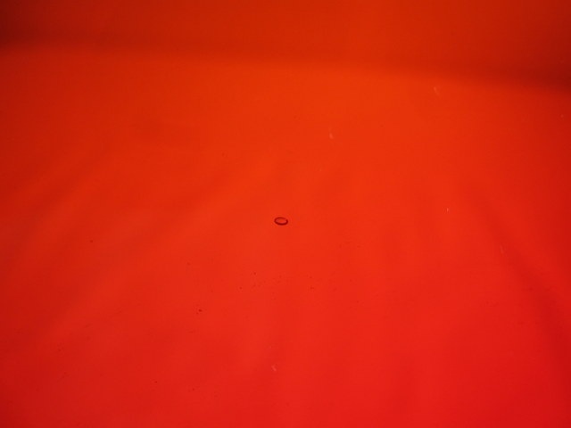 �ޥ�ƥ����饹���֤���ȭ����ȭ���ۻҴ�