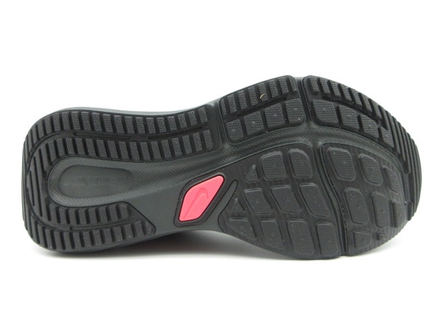 ナイキ ウインフロー 12 HV9272-005