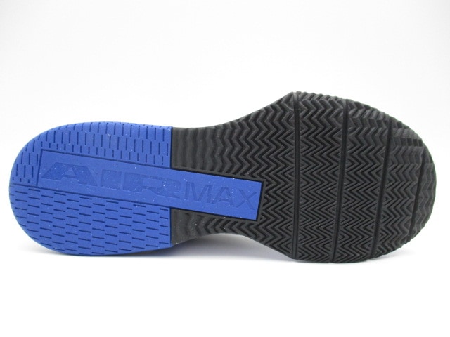 ナイキ AIR MAX アルファトレーナー6 FQ1833-102