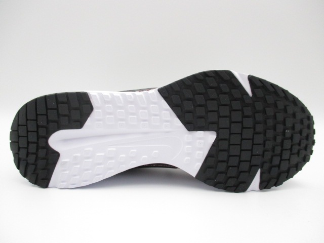 ナイキ RUN DEFY  HM9594-001