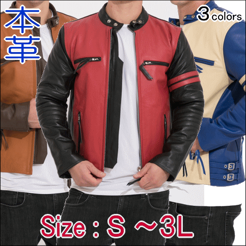 ץ  Хåե쥶 󥰥饤쥶㥱å PB2807