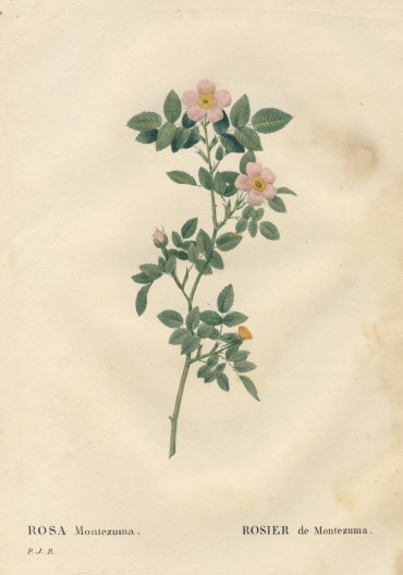 015E ��ɥ����ơ֥��������ƥ��ޡ׸��ܡ������Ĥ���