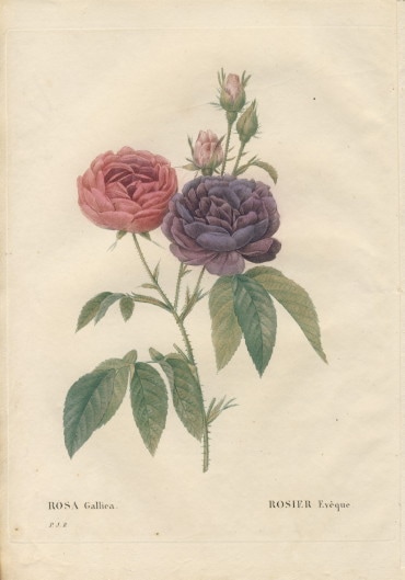 064-3A ��ɥ����ơ֥��������ꥫ�׸��ܡ������Ĥ���