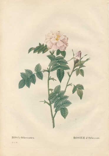 068B ��ɥ����ơ֥���������٥å��ͥ��׸��ܡ������Ĥ���