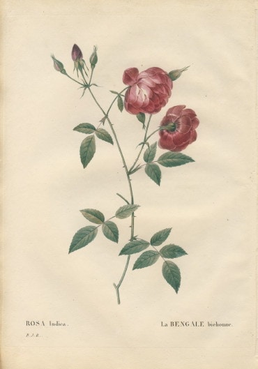 065A ��ɥ����ơ֥���������ǥ����׸��ܡ������Ĥ���