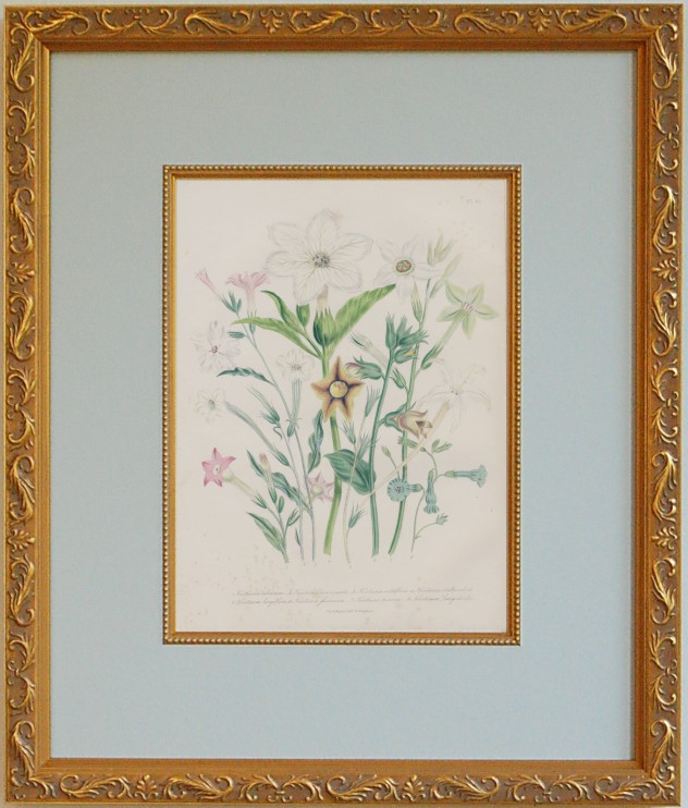 �ʽ��βֱ��45.�˥������ʡ�