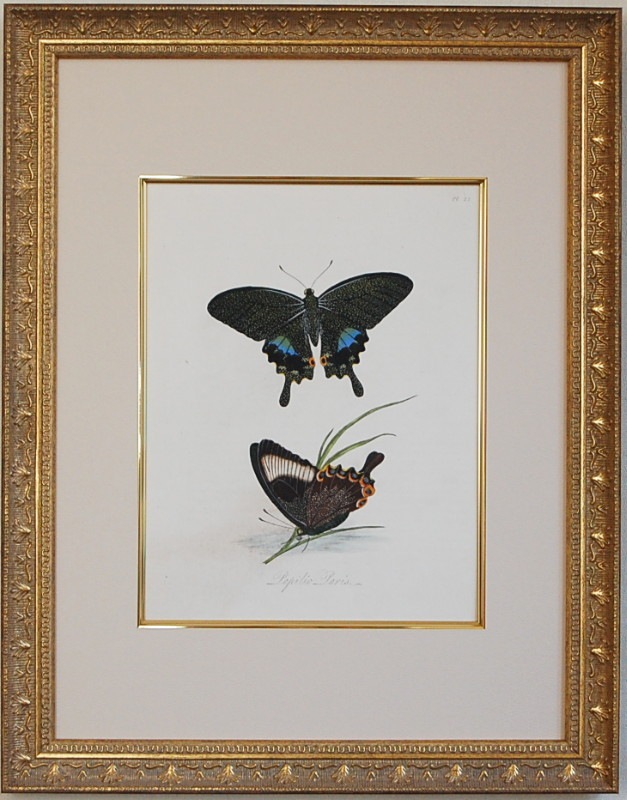 ロンドンで購入 アンティーク リトグラフ パリの生活 ロンドン,生活