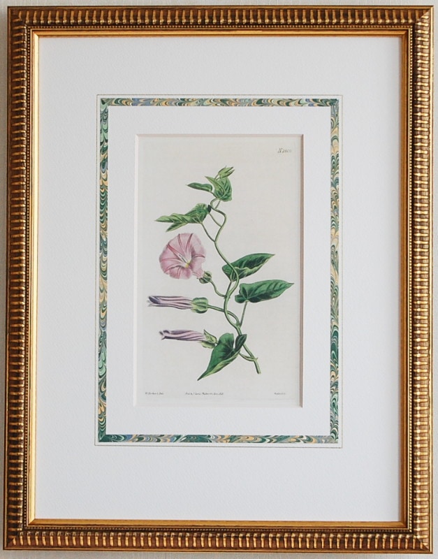 �����ƥ���No.2609 �����ꥢ�Υҥ륬��
