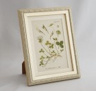 ֥ɥġȥꥢοʪץߥ˳ۢĥ᥯