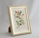 ֥ɥġȥꥢοʪץߥ˳ۢ饹Υɥ