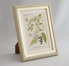 ֥ɥġȥꥢοʪץߥ˳ۢΥ梁ߥ