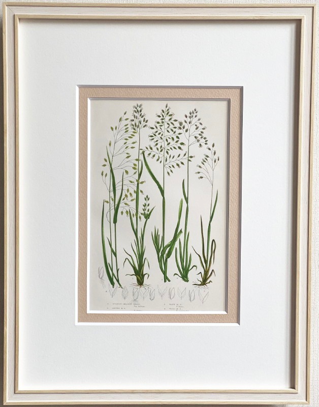 ץåȡֱѹΥ°׸ No.267