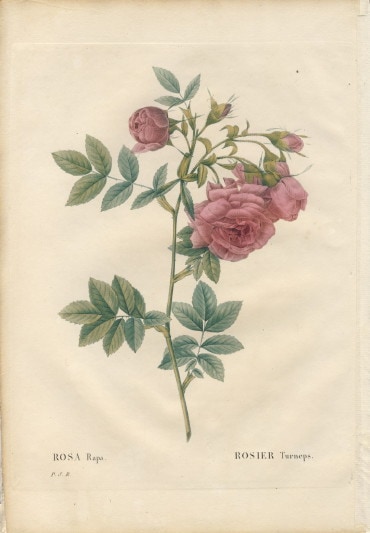 074-3A ��ɥ����ơ֥������顼�ѡ׸��ܡ������Ĥ���