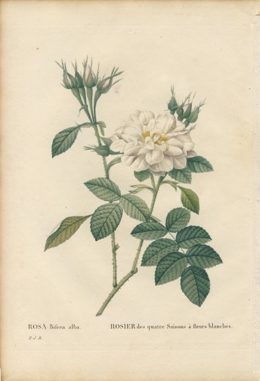 038A ��ɥ����ơ֥������ӥե��顦����С׸��ܡ������Ĥ���