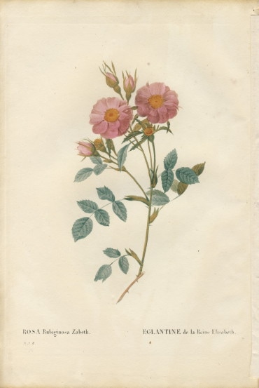 052B ��ɥ����ơ֥�������ӥ��Ρ��������٥��׸��ܡ������Ĥ���