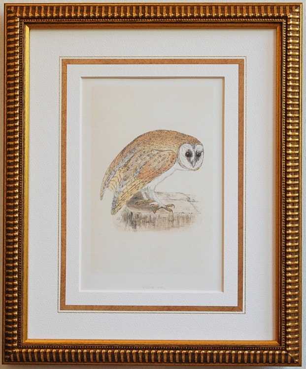 �����ե���������ޥåȡ�