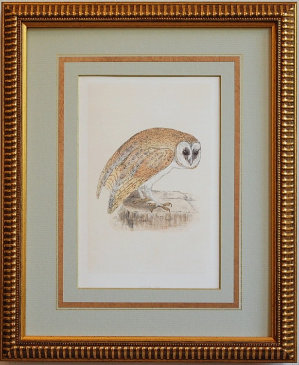 �����ե��������Хޥåȡ�