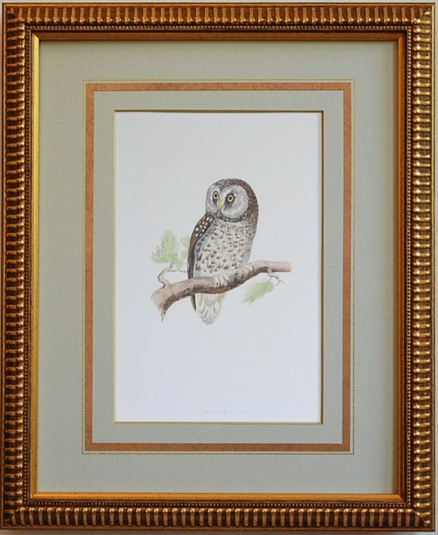 �����ե��������Хޥåȡ˻Ĥ�1��