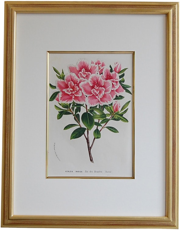 �����󡦥ۥ��ơ֥����쥢��1850ǯ�� ����