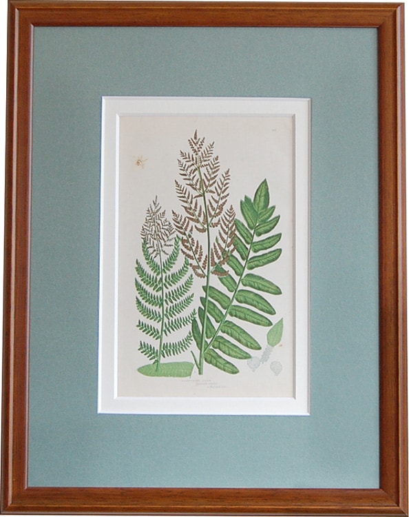 �ץ�åȡֱѹ�Υ����׸��� No.307�ʾ����񤢤��