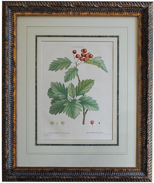 ɥơ֥ե󥹼ڻ׸ ǥХʥ